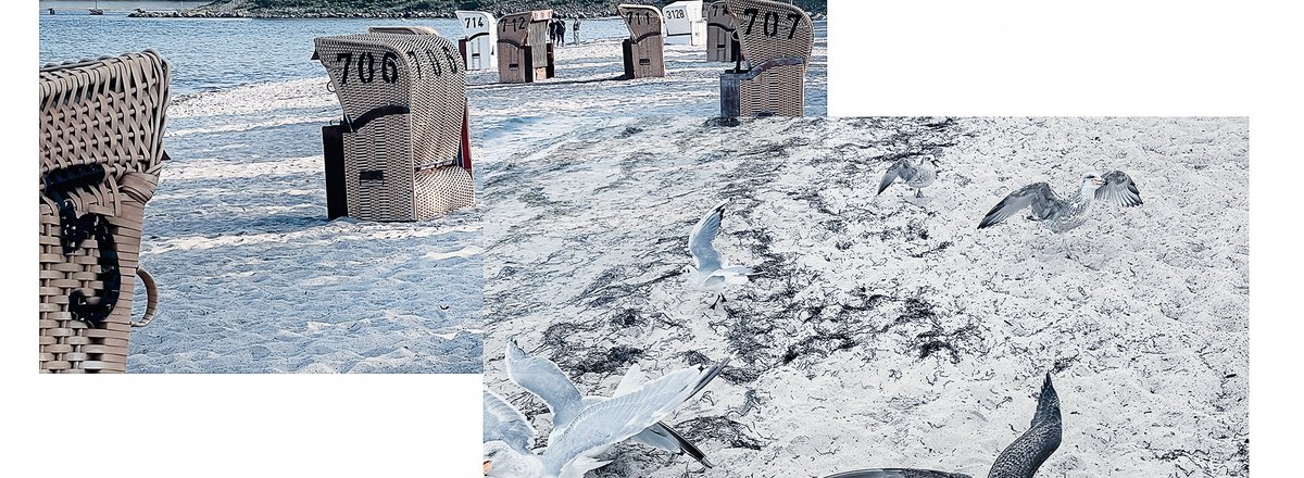 Decorative element: Beach in Eckernförde and seagulls on it